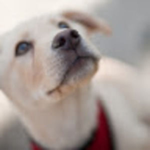 Meet your Posher, Anu